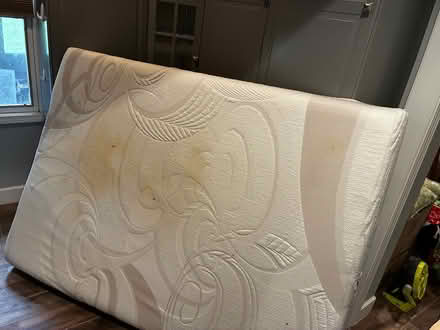 Photo of free Full size mattress and box spring (Friendswood) #1