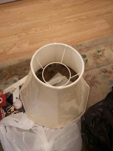 Photo of free 14 ins lampshade cream damask (Southwick BN42) #2