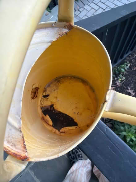Photo of free Metal watering can (Annapolis (near Quiet Waters)) #2