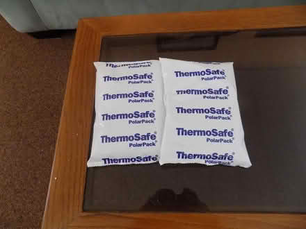 Photo of free Small coolers with box & ice packs (Ruskin) #2
