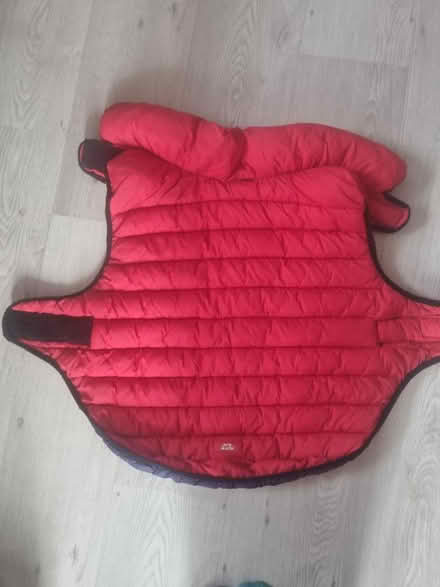 Photo of free Dog jacket (BN3) #1