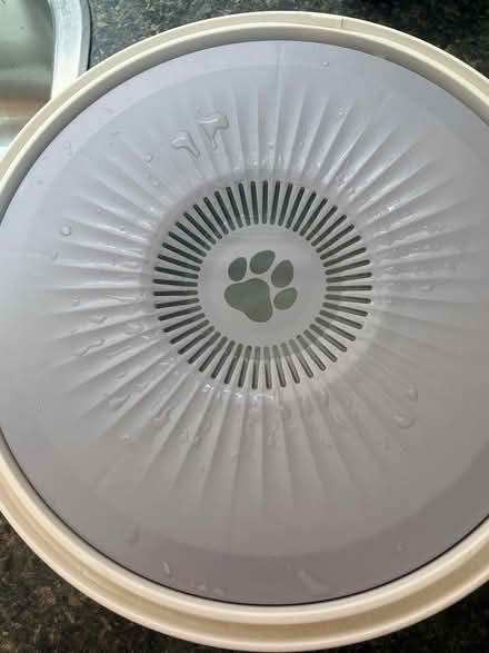 Photo of free Slow Water Bowl for Dog (Rathburn and Creditview) #2