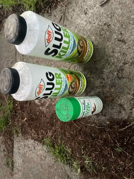 Photo of free Slug pellets (AL2 / SG6) #1
