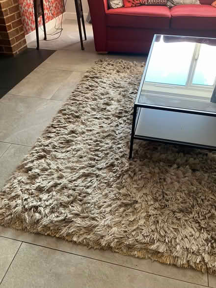 Photo of free Long pile rug (Halesworth IP19) #1