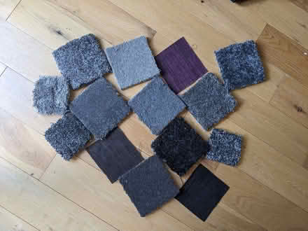 Photo of free Carpet samples (Middlewood S6) #1