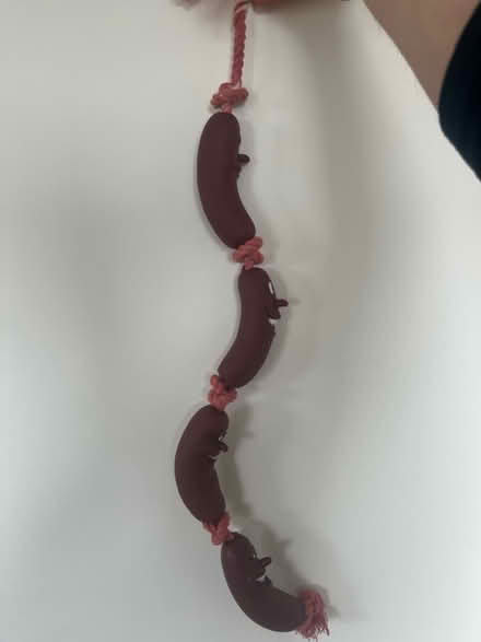 Photo of free Sausage link toy/decoration (Leyton E10) #2