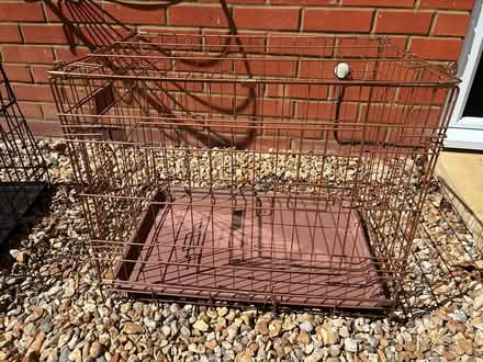 Photo of free Small dog cage (Hindhead GU26) #1