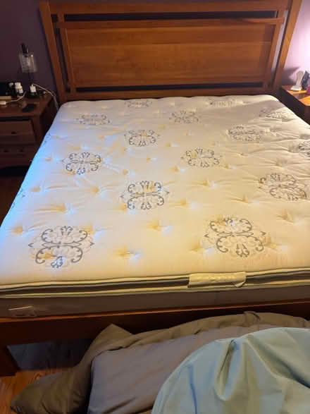 Photo of free King Sealy Mattress (Rockville near Bethesda) #1
