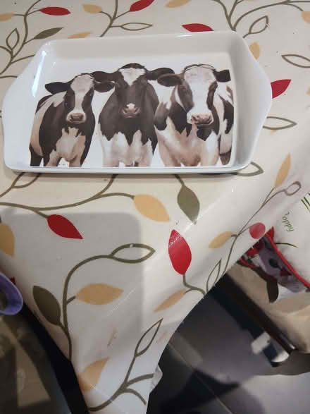 Photo of free small tray (Belmont SL6) #1