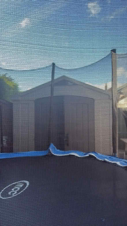 Photo of free Large shed (Streatham common SW16) #2
