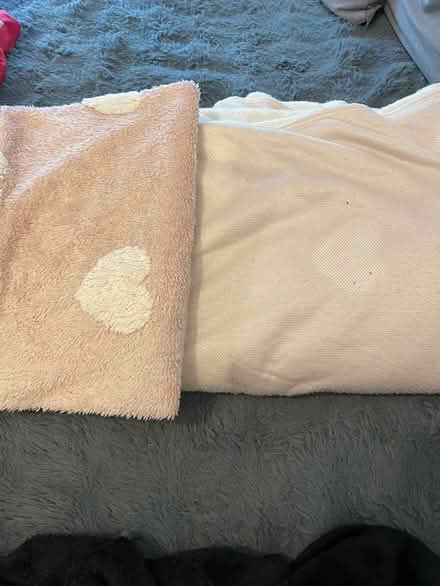 Photo of free Fluffy heart single duvet set (Wandsworth SW18) #1