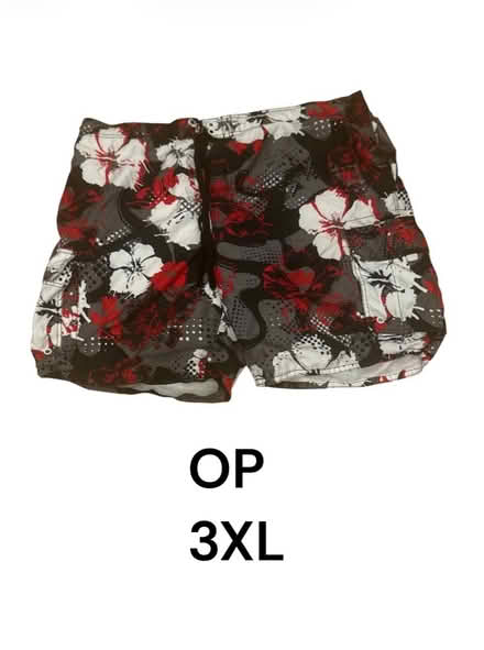 Photo of free OP Men’s Shorts (Brooklyn Storage) #1