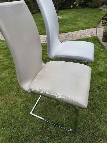 Photo of free Dining chairs (Horley Row RH6) #2