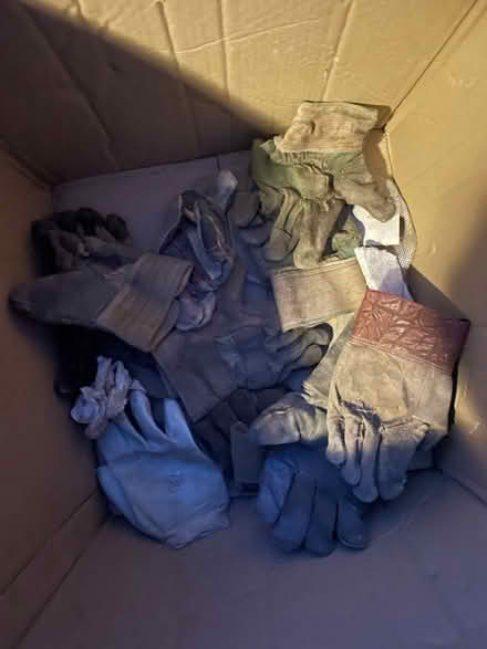 Photo of free Box of old gardening gloves (AL2 / SG6) #1