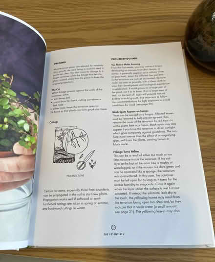 Photo of free Small terrarium + book (New Eltham SE9) #3