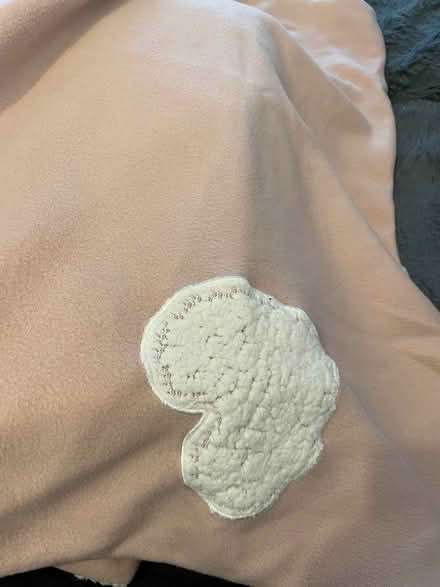 Photo of free Fluffy heart duvet set (Wandsworth SW18) #3