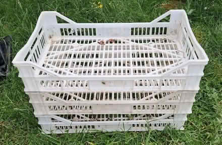 Photo of free Three large plastic storage trays. (Deadman's Hill MK45) #1