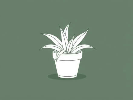 Photo of Plant Pots (Wood Farm OX3) #1
