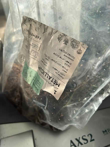 Photo of free Painted Lady Fern (Wolverhampton WV10) #1