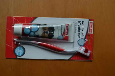 Photo of free Pet toothbrush and toothpaste (Glenrothes KY7) #1
