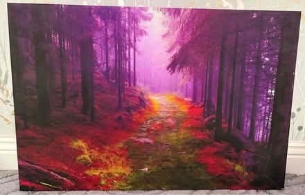 Photo of free Striking picture (Riddlesden) #1