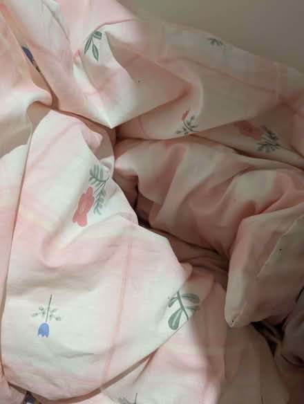 Photo of free About 10 duvets with covers and lots of pillows! (Saint Philip's S3) #1
