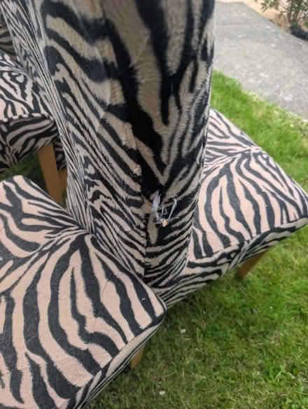 Photo of free 6 Dining Chairs (Towyn LL22) #3
