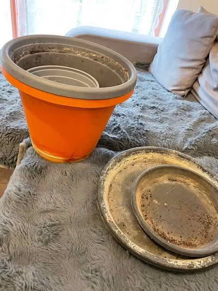 Photo of free Plant pot n trays (Wandsworth SW18) #1