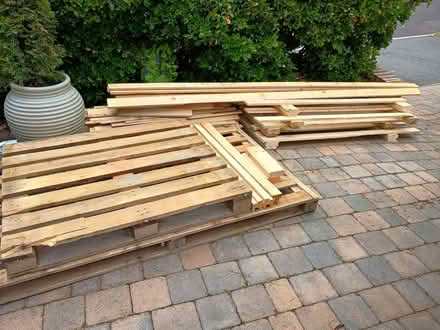 Photo of free Timber (Whitecliff BH14) #1