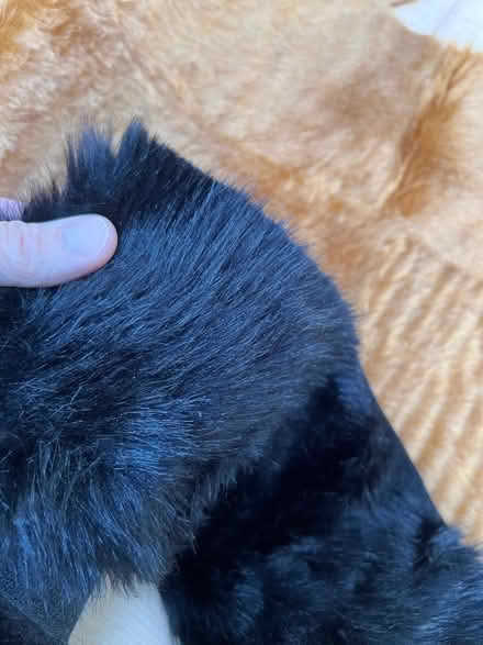 Photo of free Faux fur - tan and black (Harrogate HG2) #2