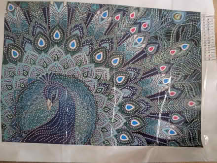 Photo of free Jewel craft kit - peacock (Abingdon, OX14 3TD) #1