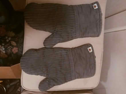 Photo of free Oven Mitts (White Center) #1