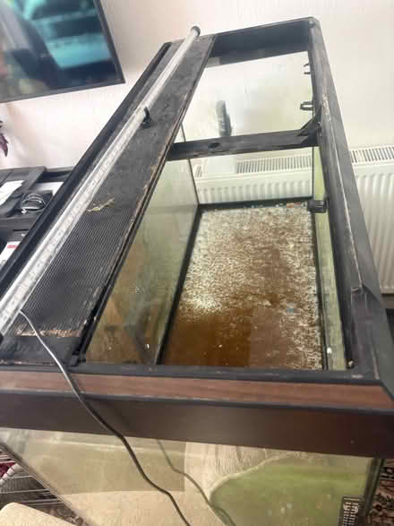 Photo of free Fluval Roma 200L Aquarium (SY1) #2