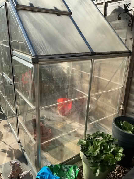 Photo of free small greenhouse (Panshanger AL7) #2