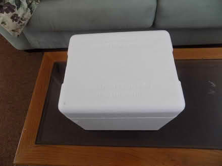 Photo of free Small coolers with box & ice packs (Ruskin) #3