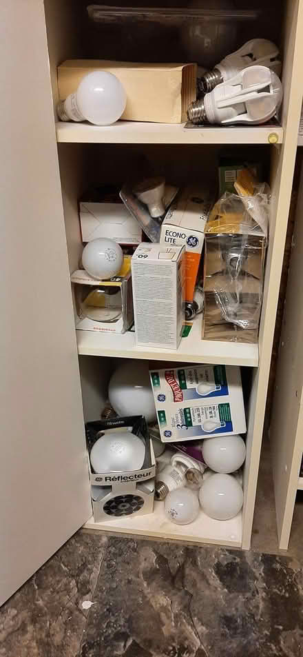 Photo of free Assorted light bulbs (Hazeldean / Castlefrank) #1