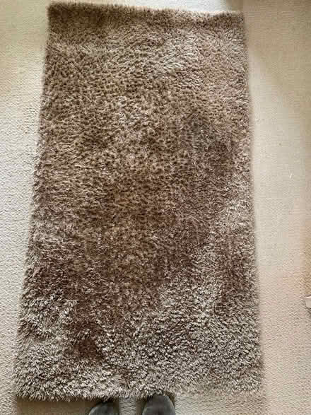 Photo of free Fluffy Biscuit Coloured Rug (Beeston NG9) #1
