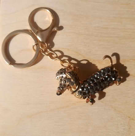 Photo of free Dachshund Keyring (Worle, Weston super Mare) #1