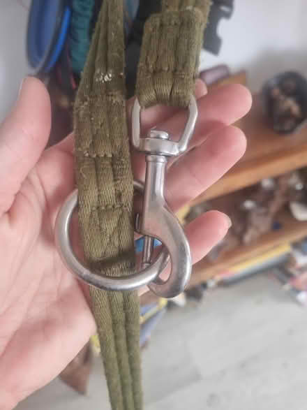 Photo of free Bully billow multi adjustable lead (BN3) #3