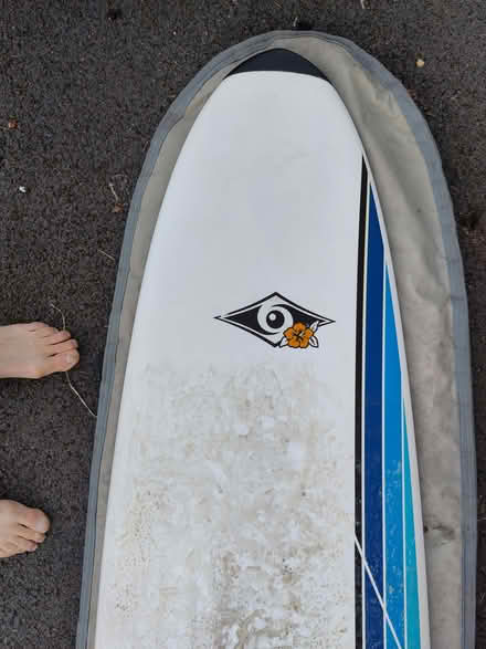 Photo of free Surfboard and bag (Broad Oaks Road, B91) #4