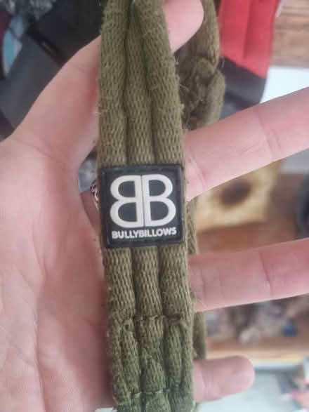 Photo of free Bully billow multi adjustable lead (BN3) #1