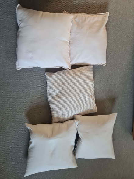 Photo of free Sofa cushions (Dalston E8) #1