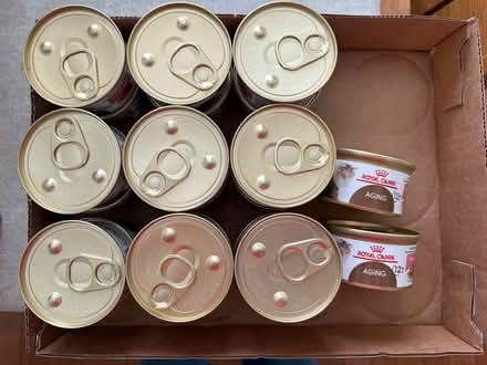 Photo of free Royal Canin 12+Aging cat food (Princeton Junction NJ) #1
