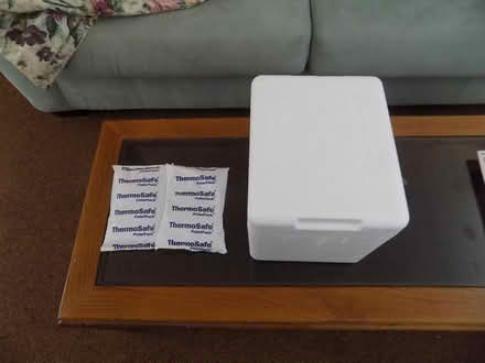 Photo of free Small coolers with box & ice packs (Ruskin) #1