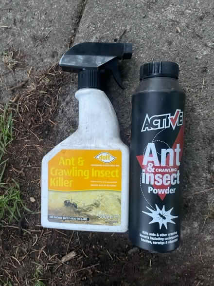 Photo of free Ant stuff (AL2 / SG6) #1