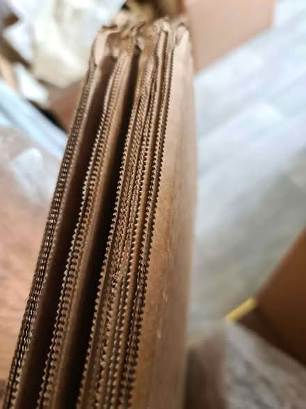 Photo of free Double Wall Corrugated Cardboard Sheet (1200 x 1000mm) (Hartington Road BN2) #1
