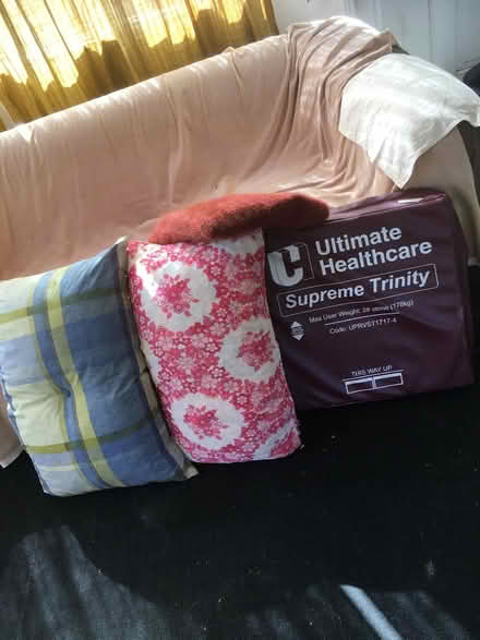 Photo of free Cushions various (High Barnet EN5) #2