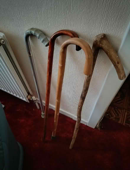 Photo of free Walking sticks (Gorebridge EH23) #1