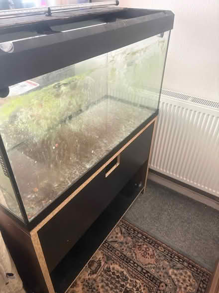 Photo of free Fluval Roma 200L Aquarium (SY1) #3