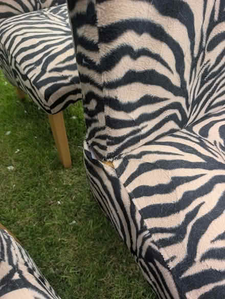 Photo of free 6 Dining Chairs (Towyn LL22) #2